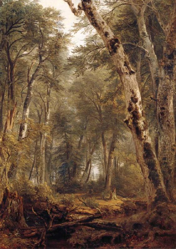 Study Woodland interior, Asher Brown Durand